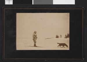 No-nb bldsa 3c278.jpg