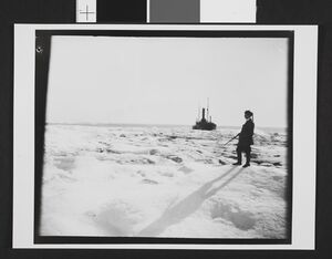 No-nb bldsa 3f025.jpg