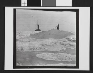 No-nb bldsa 3f026.jpg