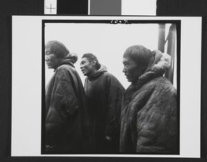 No-nb bldsa 3f039.jpg