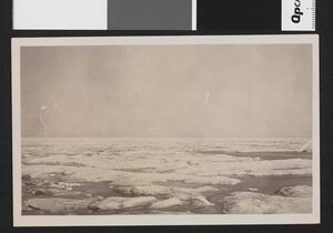 No-nb bldsa 3f128.jpg