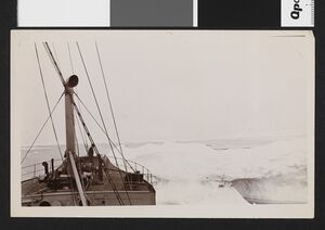 No-nb bldsa 3f136.jpg