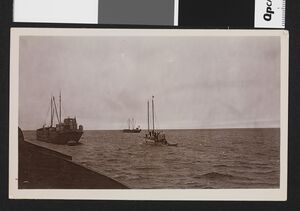 No-nb bldsa 3f153.jpg