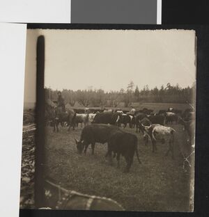 No-nb bldsa 3f158.jpg