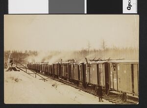 No-nb bldsa 3f163.jpg