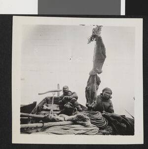 No-nb bldsa 3f174.jpg