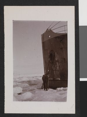 No-nb bldsa 3f185.jpg