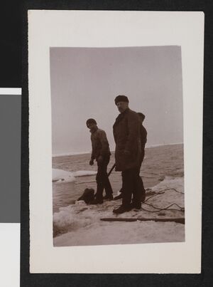 No-nb bldsa 3f191.jpg