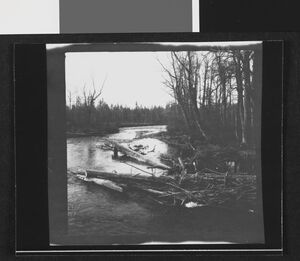 No-nb bldsa 3f250.jpg