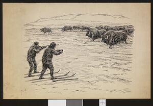 No-nb bldsa f3b016.jpg