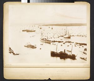 No-nb bldsa f3c001.jpg