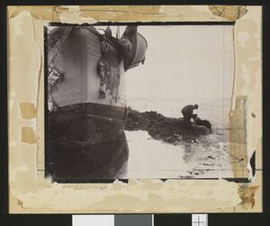 No-nb bldsa q3c044.jpg