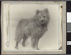 No-nb bldsa q3c050.jpg