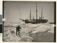 «Fram» i isen, i forgrunnen samler Henrik Greve Blessing opp algeprøver. Foto: Fridtjof Nansen