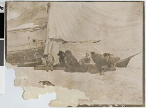 No-nb bldsa q3c107.jpg