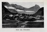 229. No-nb digibok 2006120401124 0224 1.jpg