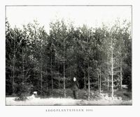 17. No-nb digibok 2010110806067 0128 1.jpg