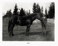 29. No-nb digibok 2011022205124 0211 1.jpg