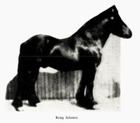 30. No-nb digibok 2011022205124 0213 1.jpg