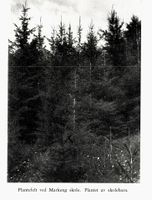 33. No-nb digibok 2011022205124 0293 1.jpg