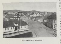 Motiv fra Hunnsvegen. Fra boka Fra Gjøvik og omliggende distrikters næringsliv 1914, utgitt 1914.