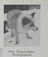 138. No-nb digibok 2012010308084 0396 2.jpg