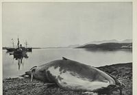 1. No-nb digibok 2012022413009 0013 1.jpg