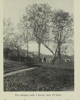 Utsikt mot Mjøsa fra hagen.