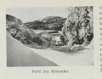 57. No-nb digibok 2012060724015 0228 1.jpg