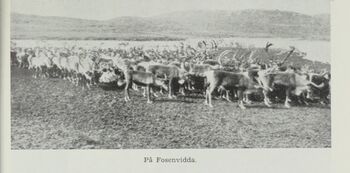 No-nb digibok 2012060724015 0241 1.jpg