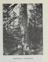 13. No-nb digibok 2012060724015 0303 1.jpg