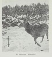 22. No-nb digibok 2012060724015 0321 1.jpg