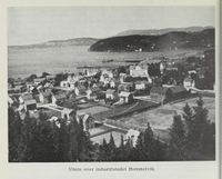 20. No-nb digibok 2012060724015 0352 1.jpg