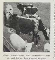 116. No-nb digibok 2012060724015 0442 1.jpg