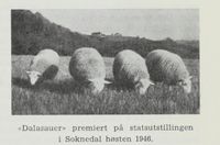 117. No-nb digibok 2012060724015 0443 1.jpg