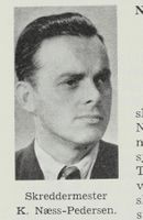 272. No-nb digibok 2012060724015 0665 1.jpg