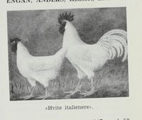 60. No-nb digibok 2012060724015 0809 2.jpg