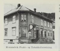 29. No-nb digibok 2012060724015 0872 1.jpg