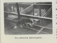 15. No-nb digibok 2012060724015 0977 1.jpg