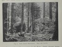 48. No-nb digibok 2012100907004 0012 1.jpg