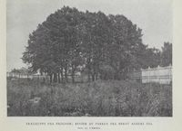 89. No-nb digibok 2012101007000 0277 1.jpg