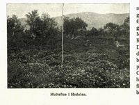 421. No-nb digibok 2012101106016 0007 2.jpg