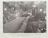 19. No-nb digibok 2012101907001 0050 1.jpg