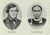 45. No-nb digibok 2013031124002 0336 1.jpg