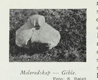 Maleredskap fra Gile. Foto: Skansen: Bygdemøllene i Norge, 1958.