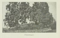 63. No-nb digibok 2013091708024 0058 1.jpg