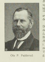 9. No-nb digibok 2013091708024 0418 1.jpg