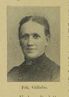 257. No-nb digibok 2013100308083 0100 1.jpg