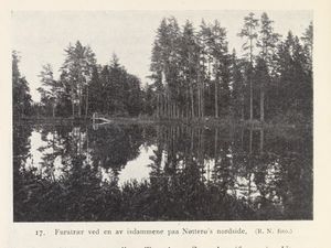 No-nb digibok 2013102224002 0044 1.jpg