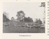 80. No-nb digibok 2013103024002 0232 1.jpg